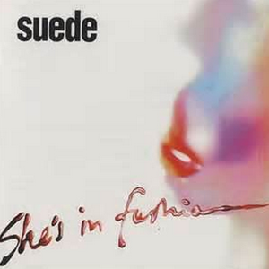 许婷和闺蜜李雪的小说
