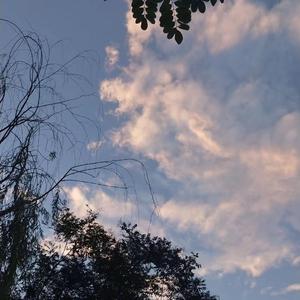 许婷和闺蜜李雪的小说
