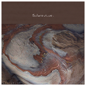 许婷和闺蜜李雪的小说
